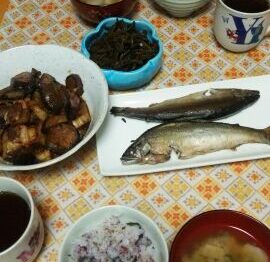 ある日の生ごみ量２０main_image(食卓の写真)