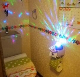 トイレの電球が切れた(´・ω・`)main_image(トイレ内部の写真)