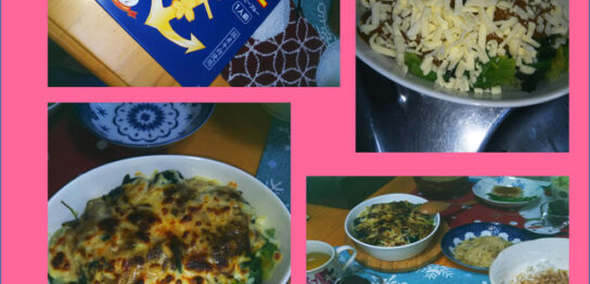 サルベージごはんは、レトルトカレーを救う(^^♪main_image(カレーの写真)