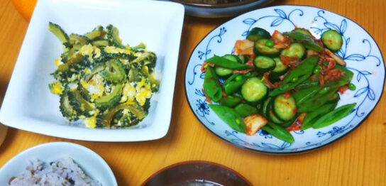 ある日の生ごみ量５４main_image(食卓の写真)