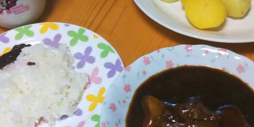 ある日の生ごみ量６３main_image(食卓の写真)