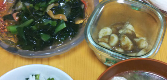 ある日の生ごみ量６５main_image(食卓の写真)