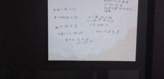 たなおろしたのしmain_image(食卓の写真)
