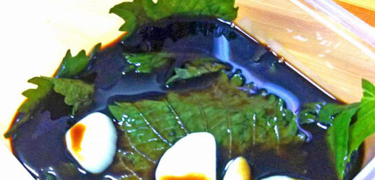 自生したシソmain_image(そのシソで作った料理の写真)