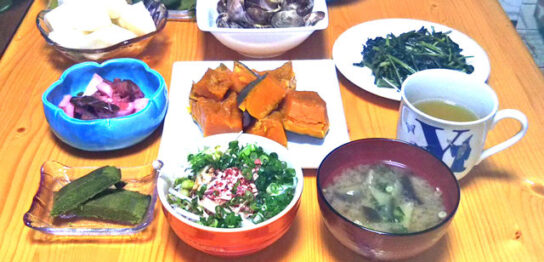 ある日の生ごみ量８３main_image(食卓の写真)